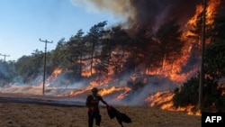 Түркия. Август, 2021-жыл.