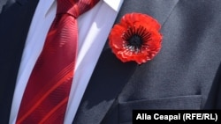 Floarea de mac, simbol al Victoriei.