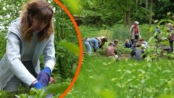 «Частина Донбасу у Львові»: переселенка підтримала екопростір у Львові замість відбудови власних теплиць (відео)