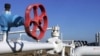 Russia Says Natural Gas Forum Will Not Be Like OPEC