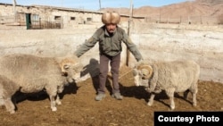 Баатырбек Акматов чарбасында.