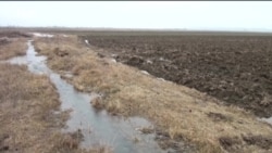 'Bu su hara dəyirsə, ora olur şor' - Şoranlaşmaya qarşı ayrılan milyonlar