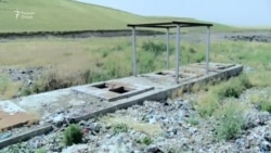 В Душанбе за один месяц убито 365 бездомных собак