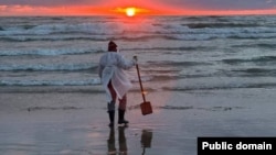 Белашца мазут лехьош бу волонтераш, Краснодаран кIошт
