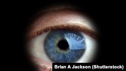 Иллюстративное фото