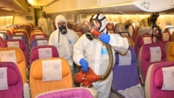 Сотрудники Thai Airways обрабатывают салон самолёта от коронавируса. Иллюстративное фото.