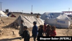 شماری از فامیل‌هایی که در اثر خشکسالی از ولایات بادغیس، غور و فاریاب به هرات بی‌جا شده‌اند.