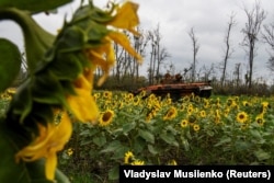 Врожайність впала в рази