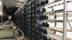 Оборудование для добычи биткоина в Бишкеке.