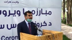 سید وحید قتالی والی هرات