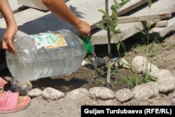 Иллюстрациялык сүрөт.