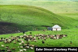 Суусамыр өрөөнү. Иллюстрация сүрөт.