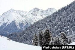 Кышкы токой. Ысык-Көл аймагы. 7-февраль, 2012-жыл.