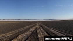 Глубокие следы тяжелой техники, использованной при разведке месторождения Кансу. По мнению экологов, они сохранятся на многие десятилетия. Фото Марка Пестова.