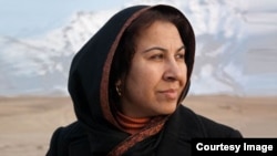 شینکی کروخیل عضو سابق ولسی جرگه وکارشناس مسائل سیاسی