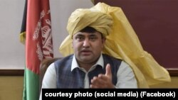 محمد میرزا کتوازی، عضو ولسی جرگه