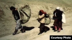 1 миллион 200 миң адам коңшу өлкөлөрдөн баш паанек тапкан