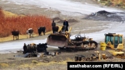 "Netijede, olar döwlet traktory özbaşdak ýa öz hasaplaryna bejertmegi bes etdiler” (arhiw suraty)