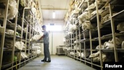 Меѓународен Комитет за исчезнати луѓе во Босна и Херцеговина.