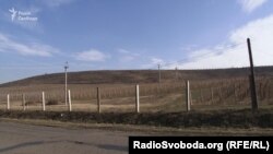 Земля у Берегові (Закарпаття), що належить Ануш Балян