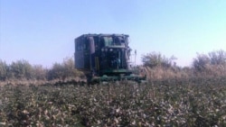 Diňle: Balkanda mejbury pagta ýygymynyň gerimi "ozal görlüp-eşidilmedik derejä" ýetdi