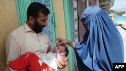 An Afghan health worker (right) administers a polio vaccination to a child on the second day of a vaccination campaign in Laghman province.