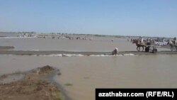 سیلاب های اخیر در مناطق شمال افغانستان خسارات فراوانی به زمین های زراعتی وارد کرده است