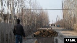 Ўзбекистонда дала ишларининг бепул дастёрлари зиммасига янги мажбурият юклатилди.