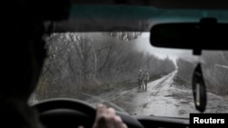 Українські військовослужбовці поблизу міста Покровськ у Донецькій області, 20 листопада 2025 року