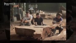 Copacul de la bibliotecă transformat în bănci