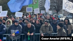 Majoritatea angajaților Damen Mangalia sunt de opt luni în șomaj tehnic. 