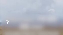 Жители села в Восточном Казахстане винят фабрику в гибели скота