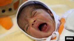 Иллюстративное фото