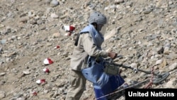 یک کارمند موسسه ماین پاکی در افغانستان در حال پاک کردن یک ساحه از ماین در ولایت کندز. 21Oct2008