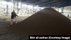 آرشیف، فابریکه جلغوزه در کابل