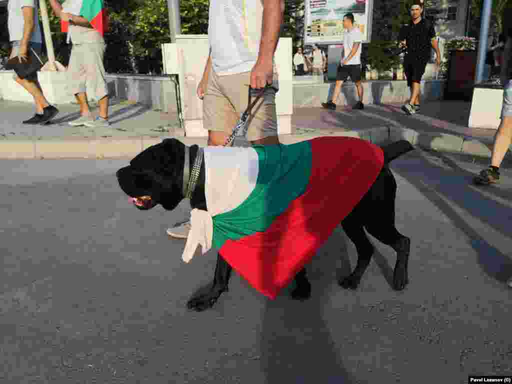 Традиционално, луѓето се собраа пред општинската зграда во Варна и потоа одеа во поворка.