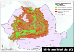 Ministerul Mediului a împărțit România în patru zone, în funcție de unde și cum vor permite sau nu autoritățile prezența urșilor.