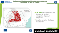 Locurile de unde au fost recoltate probele de la urși în 25 de județe.