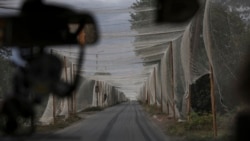 Мрежа против дронови што покрива улица во украинскиот град Костјантинивка, кој се наоѓа на фронтовската линија. 29 септември 2025 година.