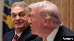 Президент США Дональд Трамп зустрівся з прем’єр-міністром Угорщини Віктором Орбаном у Білому домі 7 листопада