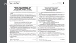 "Жалаа жапты" же "мазактады": Талаштуу мыйзам күчүнө кирет 