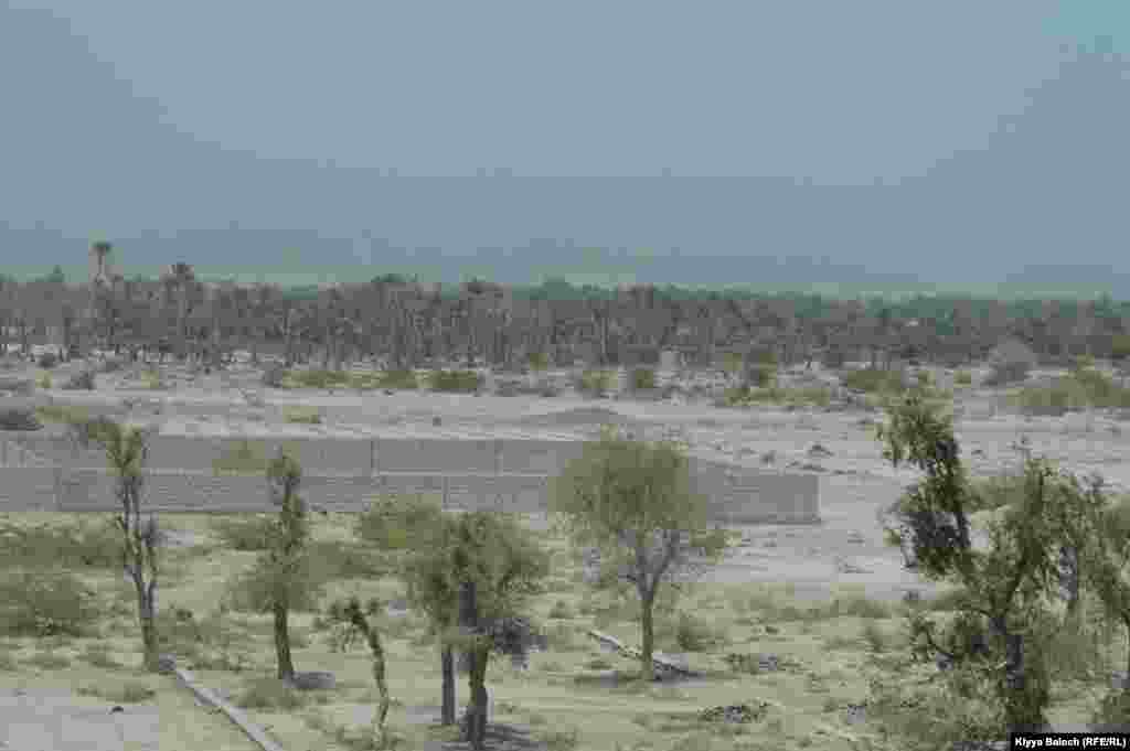 Trubat&#39;s arid climate, long and hot summers favor Date palms.