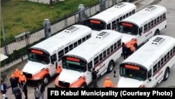 شاروالی کابل فعالیت بس‌های شهری را در کابل آغاز کرد.
