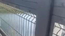 Дезертир Сорокин во время пересечения границы Мексики и США.mp4