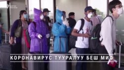 Коронавирус тууралуу беш миф