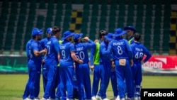 د کرکټ ملي لوبډله 