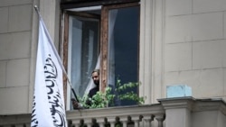 واکنش‌ها به تصمیم روسیه مبنی به رسمیت شناختن حکومت طالبان