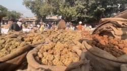 له افغانستان سره د سوداګرۍ درېدو د پېښور ګوړې منډیۍ کاروبار زښت خراب کړی دی