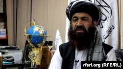 علم گل حقانی رئیس عمومی ریاست پاسپورت افغانستان