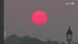 د پټاخو ډوزولو او د فصلونو سوځولو د هند پلازمېنه په دود کې پوښلې